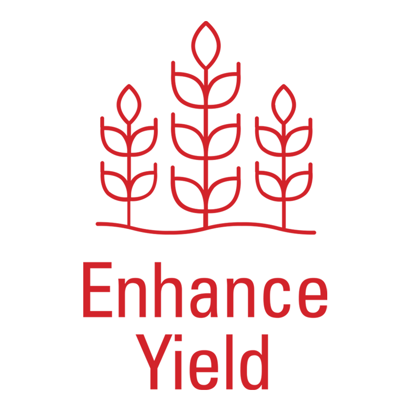 Enhance Yield Enhance Yield